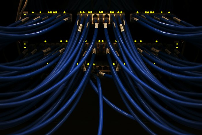 Neatly organized blue network patch cables in a server cabinet